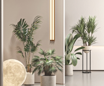 Modern Ground Green Plant Potted Plants-ID:320540908