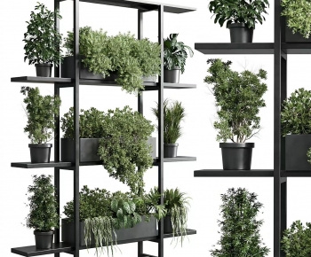Modern Flower Rack-ID:956110952