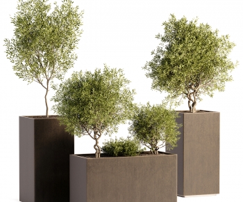 Modern Flower Bed, Flower Bowl, Flower Box-ID:191921953