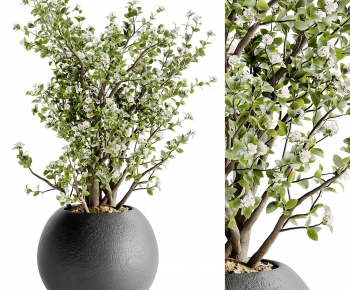 Modern Ground Green Plant Potted Plants-ID:992919921