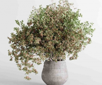 Wabi-sabi Style Flowers-ID:778147942