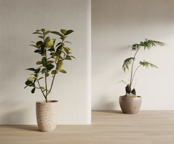 Modern Ground Green Plant Potted Plants-ID:502760468