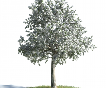 Modern Tree-ID:683765894
