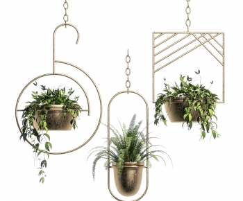 Modern Chlorophytum Comosum-ID:906400924