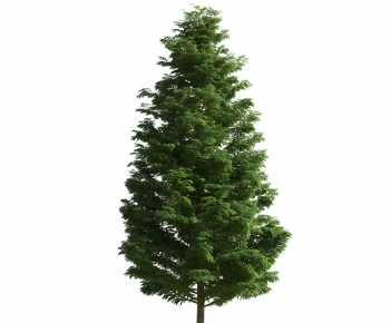 Modern Tree-ID:491178045
