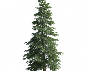 Modern Tree-ID:517899048