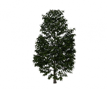 Modern Tree-ID:334494117