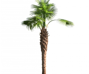 Modern Tree-ID:881887913