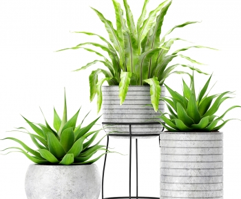Modern Ground Green Plant Potted Plants-ID:875396972