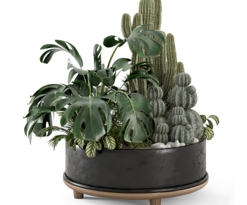 Modern Flower Bed, Flower Bowl, Flower Box-ID:115730857