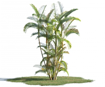 Modern Tree-ID:695672996