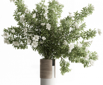Modern Flower Arrangement-ID:836755997