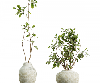Modern Ground Green Plant Potted Plants-ID:553836113