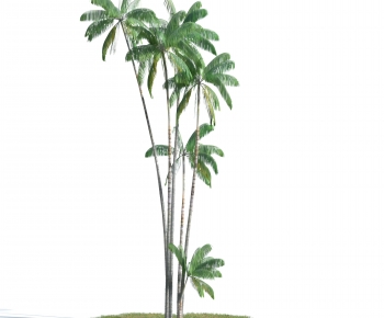 Modern Tree-ID:151001933