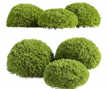 现代灌木绿植组合-ID:480108981