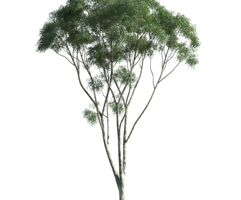 Modern Tree-ID:674436092