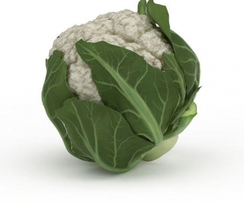 Modern Vegetables-ID:888947968