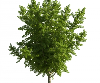 Modern Tree-ID:390001062