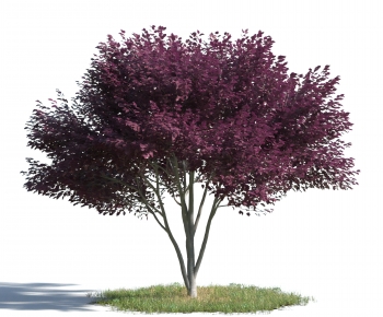 Modern Tree-ID:534822944