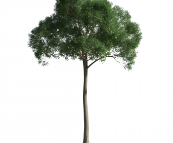Modern Tree-ID:100600761