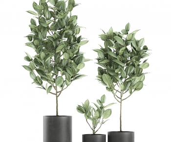 Modern Ground Green Plant Potted Plants-ID:437603954