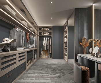 Modern Clothes Storage Area-ID:317488914