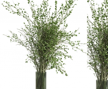 Modern Aquatic Green Plant-ID:226281882
