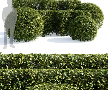Modern Shrubbery-ID:400702001