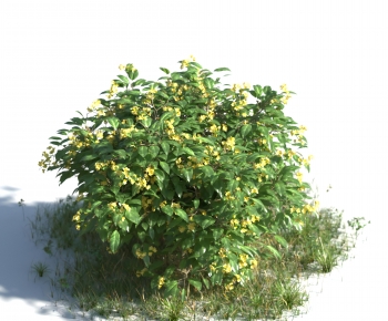 Modern Tree-ID:818681964