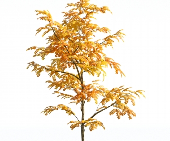 Modern Tree-ID:295082091
