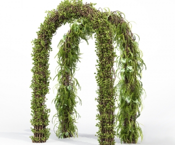 Modern Vine-ID:940197945