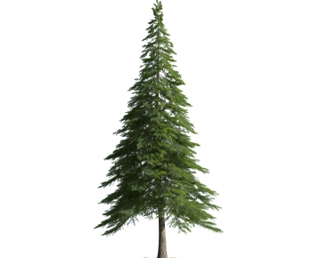 Modern Tree-ID:122311149