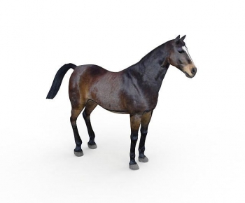 Modern Animal Horse-ID:822905068