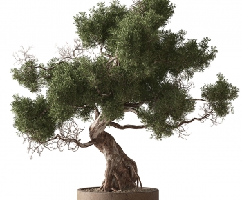 Modern Tree-ID:619728097