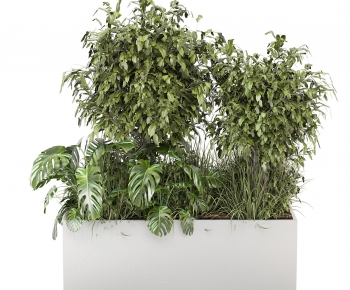 Modern Flower Bed, Flower Bowl, Flower Box-ID:155369046