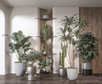 Modern Ground Green Plant Potted Plants-ID:949356089