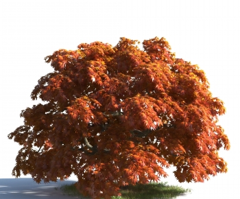 Modern Tree-ID:174777031