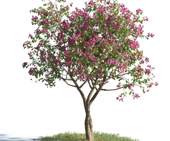 Modern Tree-ID:124336008