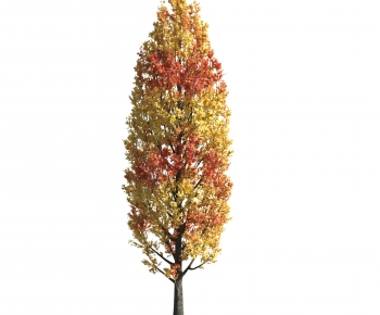 Modern Tree-ID:375267034