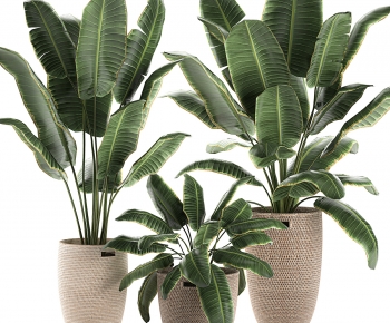 Modern Ground Green Plant Potted Plants-ID:332200053