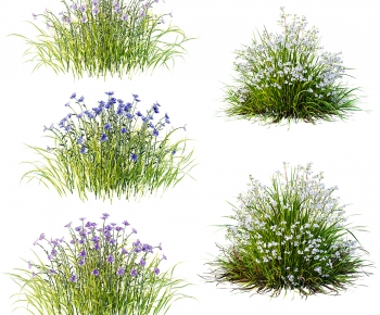 Modern Flowers And Grass-ID:145195966