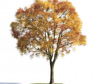 Modern Tree-ID:307866106