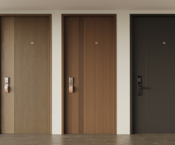 Modern Entrance Door-ID:998651985