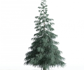 Modern Tree-ID:368124966