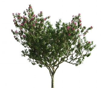 Modern Tree-ID:897365094