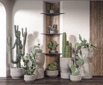 Modern Potted Green Plant-ID:743237024