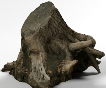 Modern Tree-ID:942317969