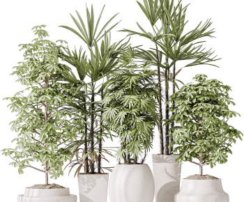 Modern Ground Green Plant Potted Plants-ID:219779975