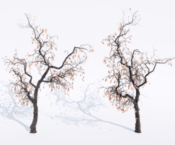 Modern Tree-ID:220505951