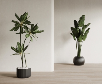Modern Ground Green Plant Potted Plants-ID:341068034